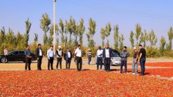 photo_2023-10-10_12-28-15