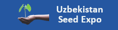 Web Logo
