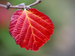 Tyros için bir konu paylaşımı denemesi 3