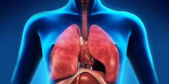 tozlu ortamlarda iş güvenliği-pnömokonyoz