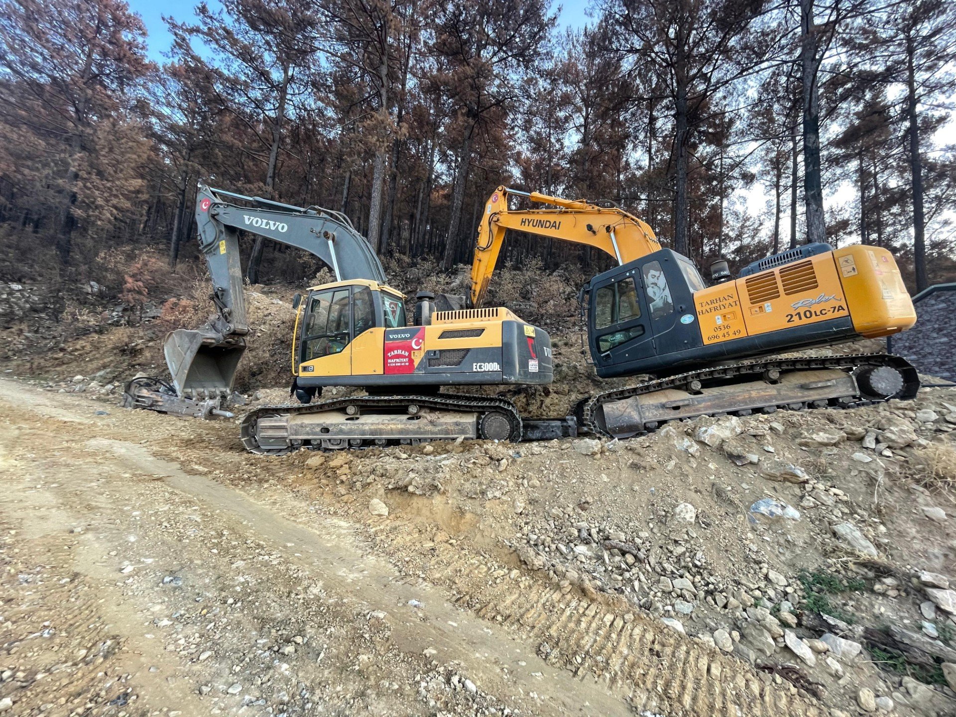 WhatsApp Image 2024-04-08 at 15.01.03 (1)