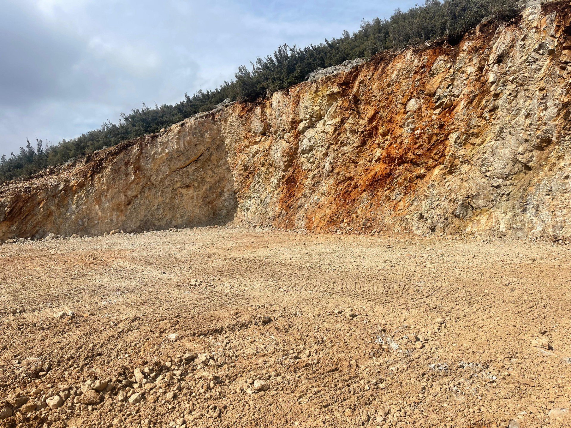 WhatsApp Image 2024-04-08 at 15.03.23