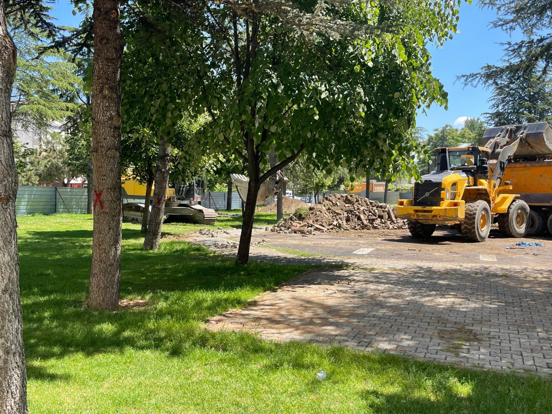 WhatsApp Image 2024-04-08 at 15.16.43 (1)