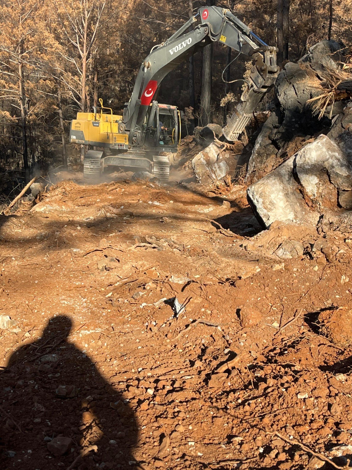 WhatsApp Image 2024-04-08 at 15.16.47