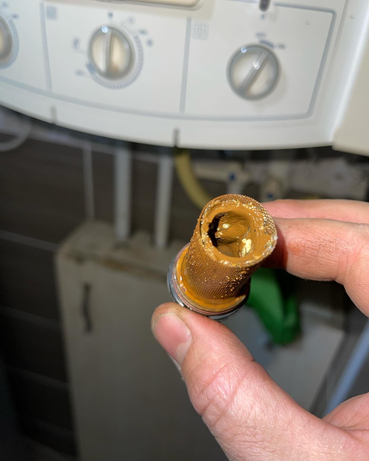 406491825_17906996366868697_2056072212225210193_n