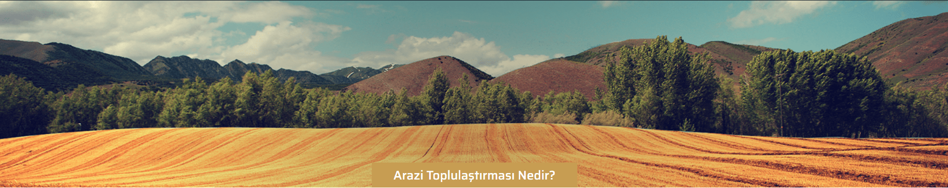 ARAZİ TOPLULAŞTIRILMASI