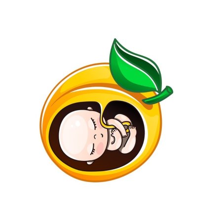 Hafta Hafta Gebelik 9 - 10 Haftalık