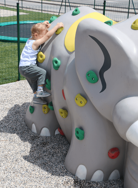 Elephant Climbing Walls
