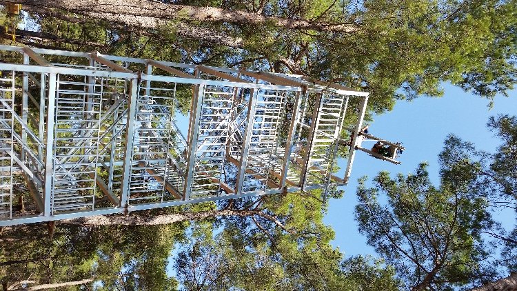 Kepez Kent Ormanı Macera Parkı Projesi 11