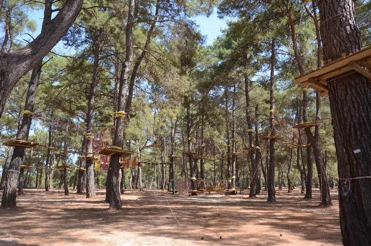 Kepez Kent Ormanı Macera Parkı Projesi 1