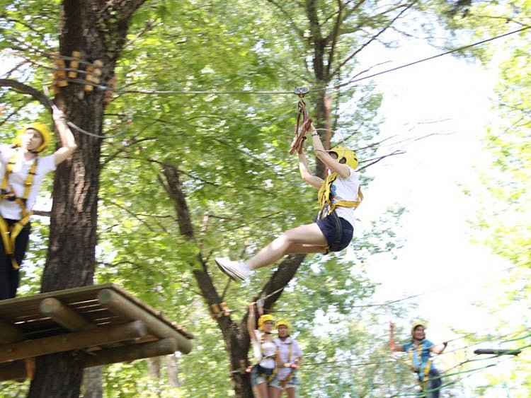 Tree Adventure Parks