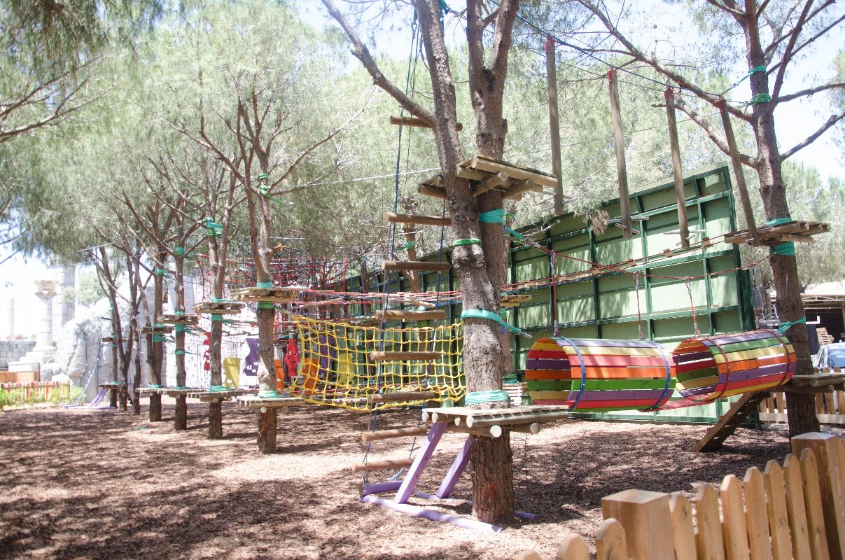 Tree Adventure Parks