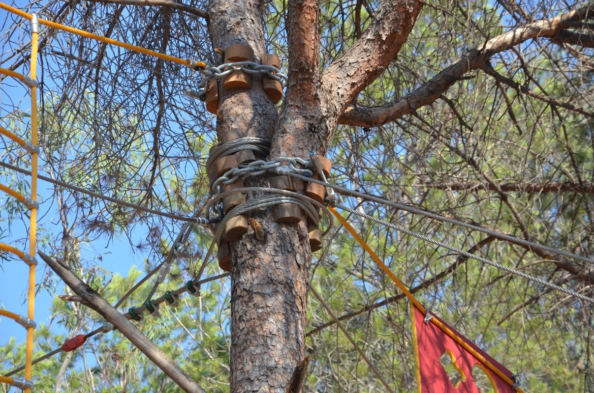 Tree Adventure Parks