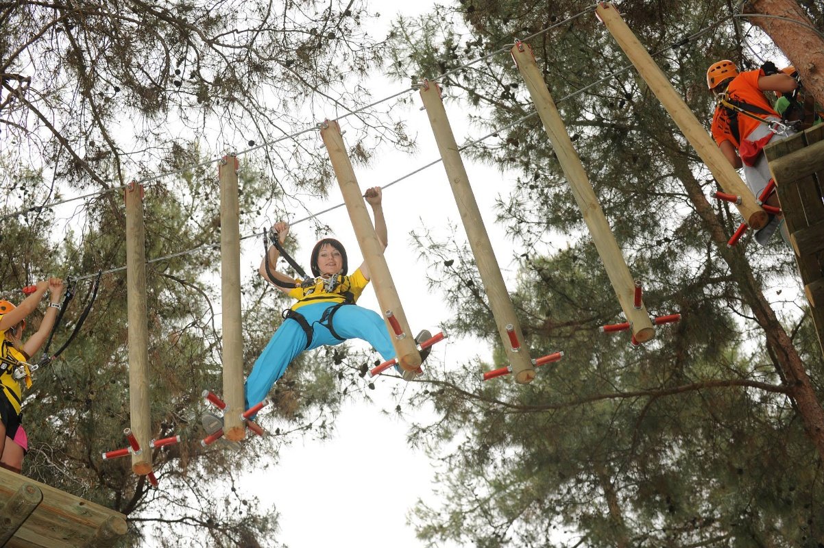 Tree Adventure Parks