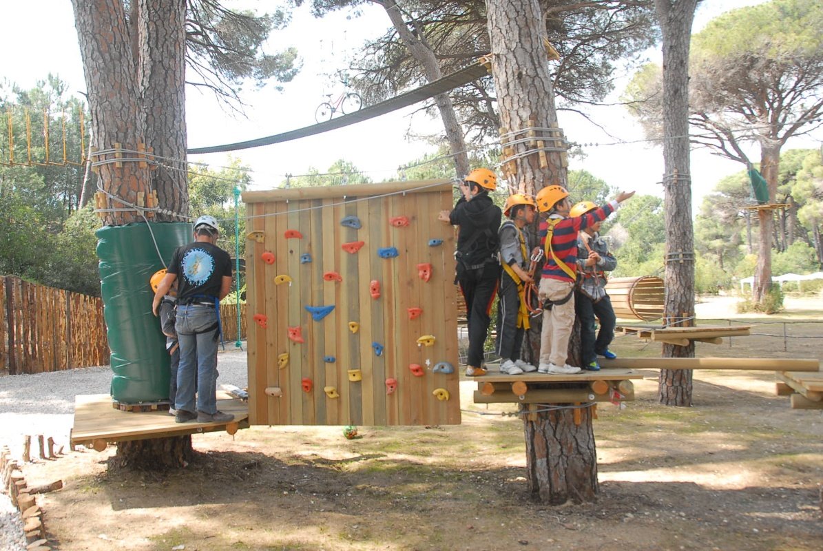 Tree Adventure Parks
