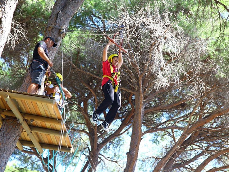 Tree Adventure Parks