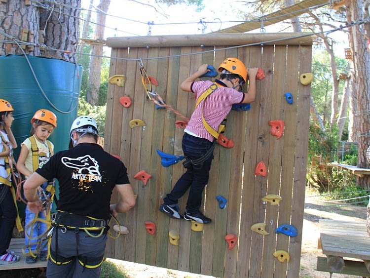 Tree Adventure Parks