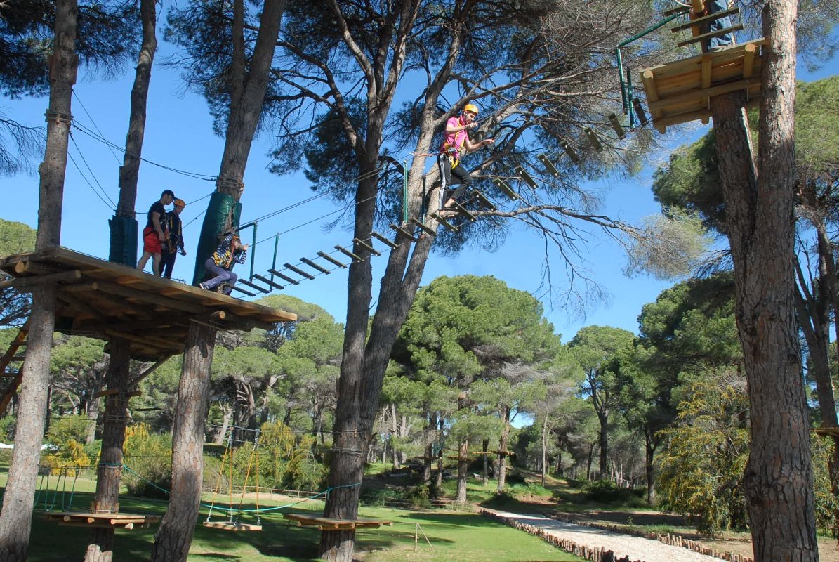 Tree Adventure Parks