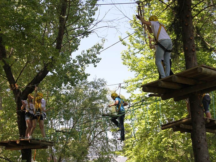 Tree Adventure Parks