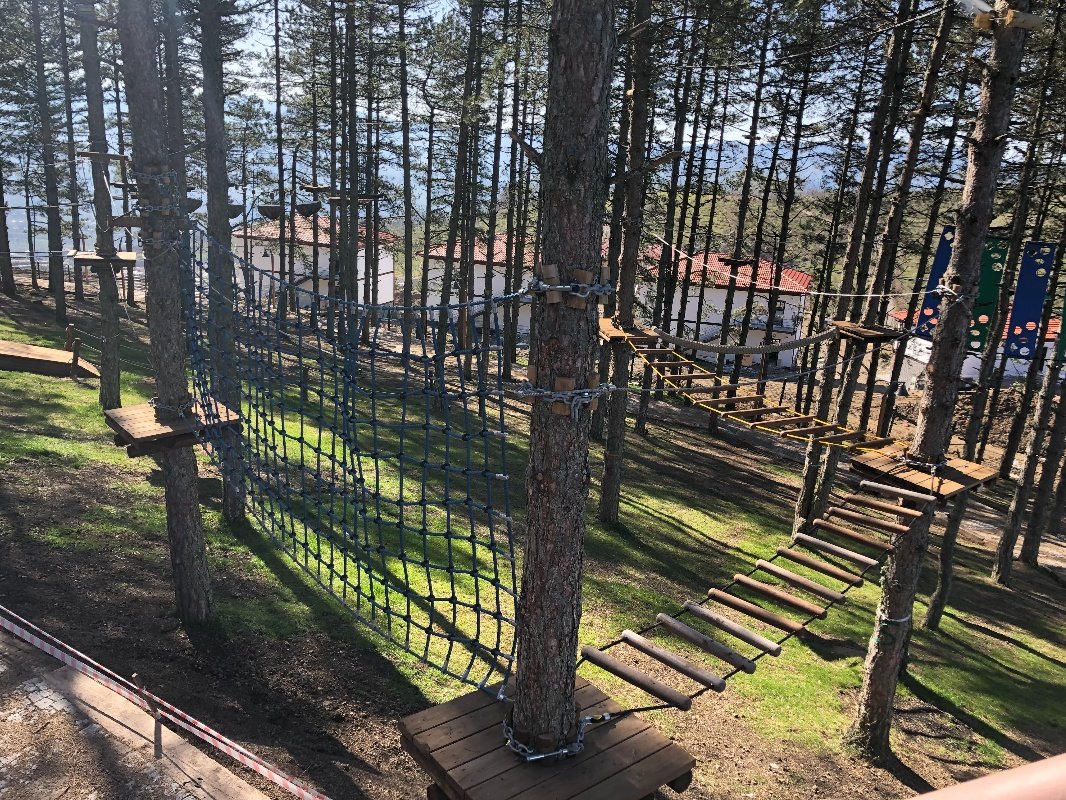 Tree Adventure Parks