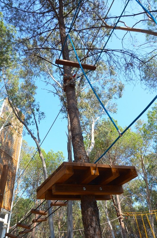 Tree Adventure Parks