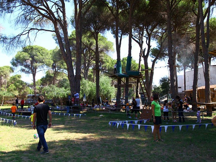 Tree Adventure Parks