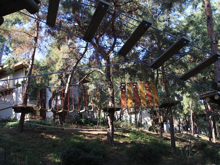 Tree Adventure Parks