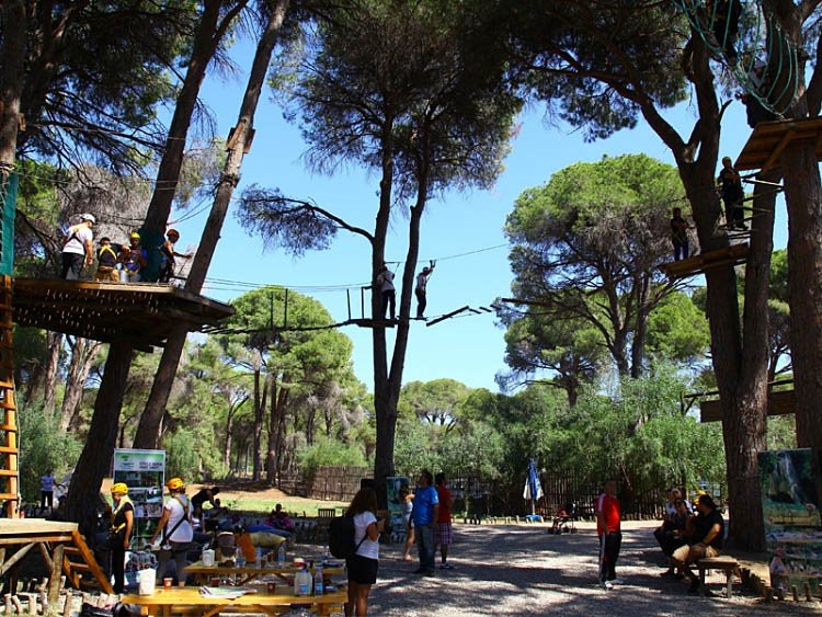 Tree Adventure Parks