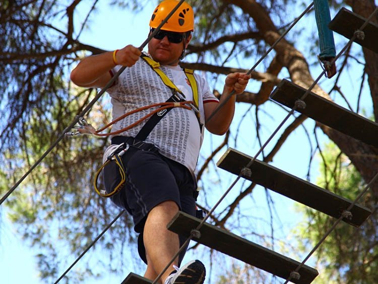 Tree Adventure Parks