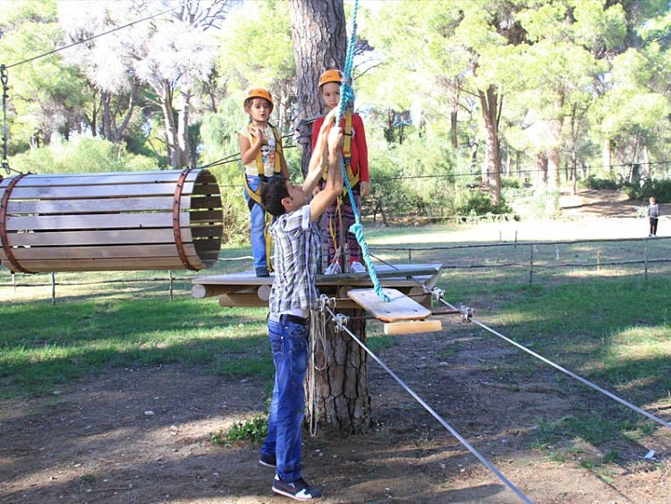 Tree Adventure Parks
