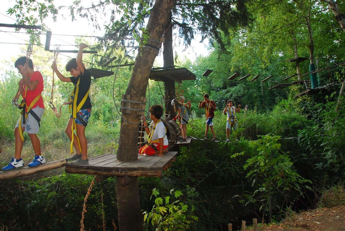 Tree Adventure Parks