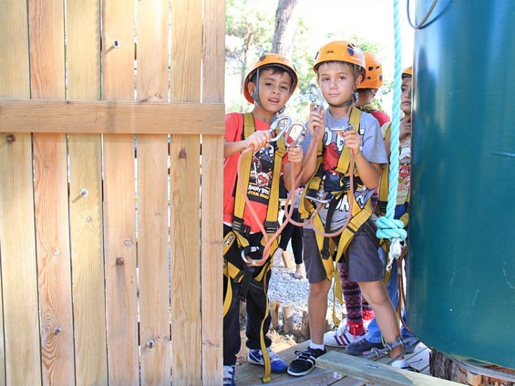Tree Adventure Parks