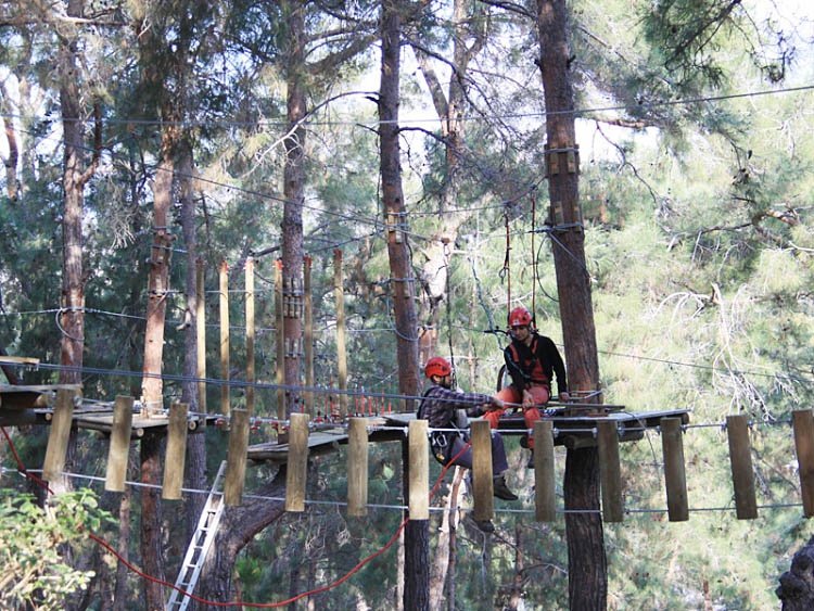 Tree Adventure Parks