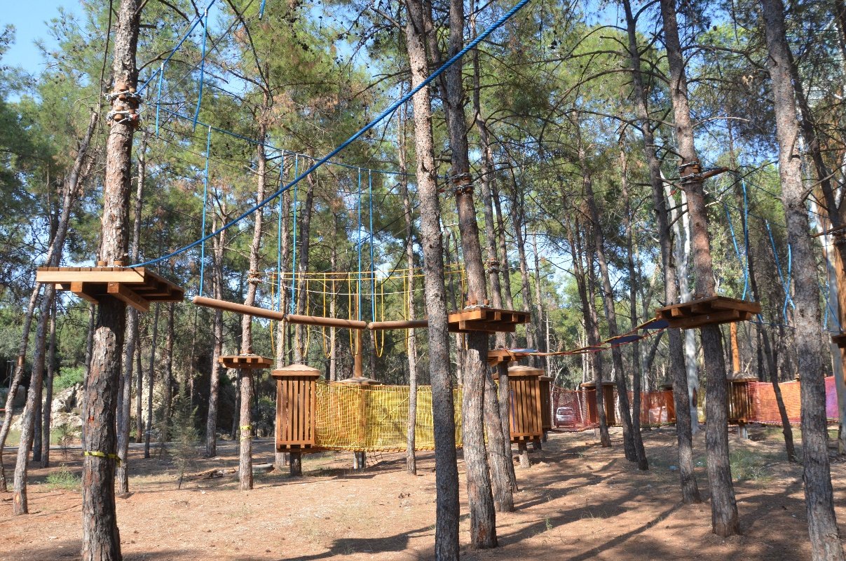 Tree Adventure Parks