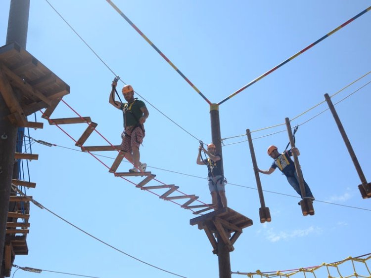 Wooden Pole Adventure Parks