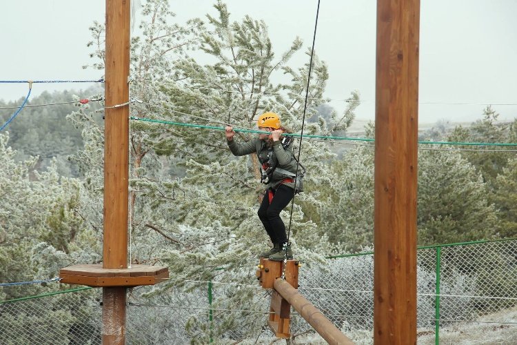 Wooden Pole Adventure Parks