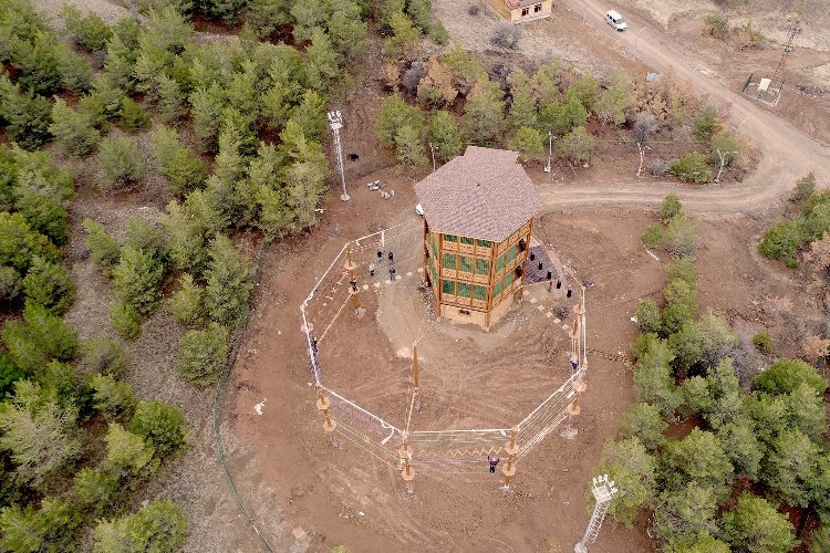 Wooden Pole Adventure Parks