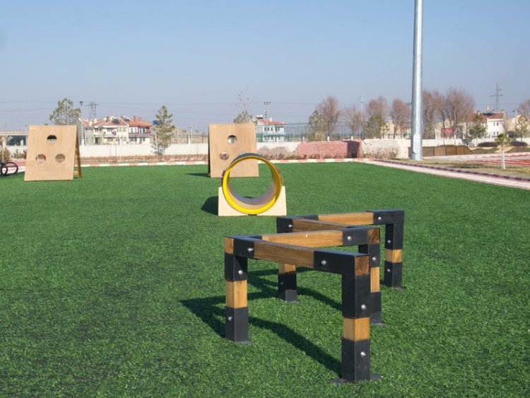 Survivor Macera Parkı 8