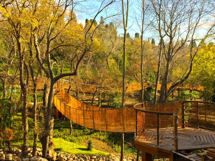 Gökyüzü Yürüyüşü 1