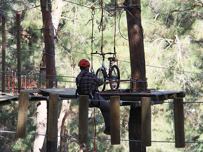 Adventure Park Production and Implementation