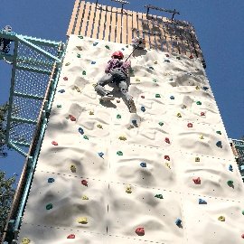 Polyster Climbing Walls