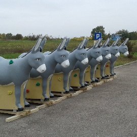 Donkey Climbing Walls