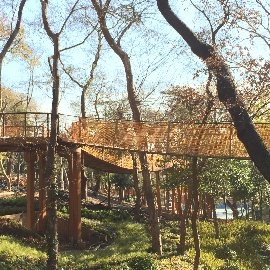 Viewing Terrace and Suspension Bridges