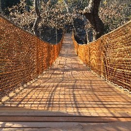 Viewing Terrace and Suspension Bridges
