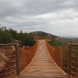 Viewing Terrace and Suspension Bridges