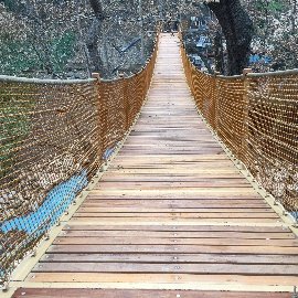 Viewing Terrace and Suspension Bridges