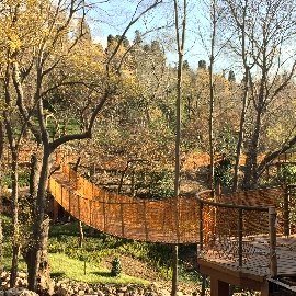 Viewing Terrace and Suspension Bridges
