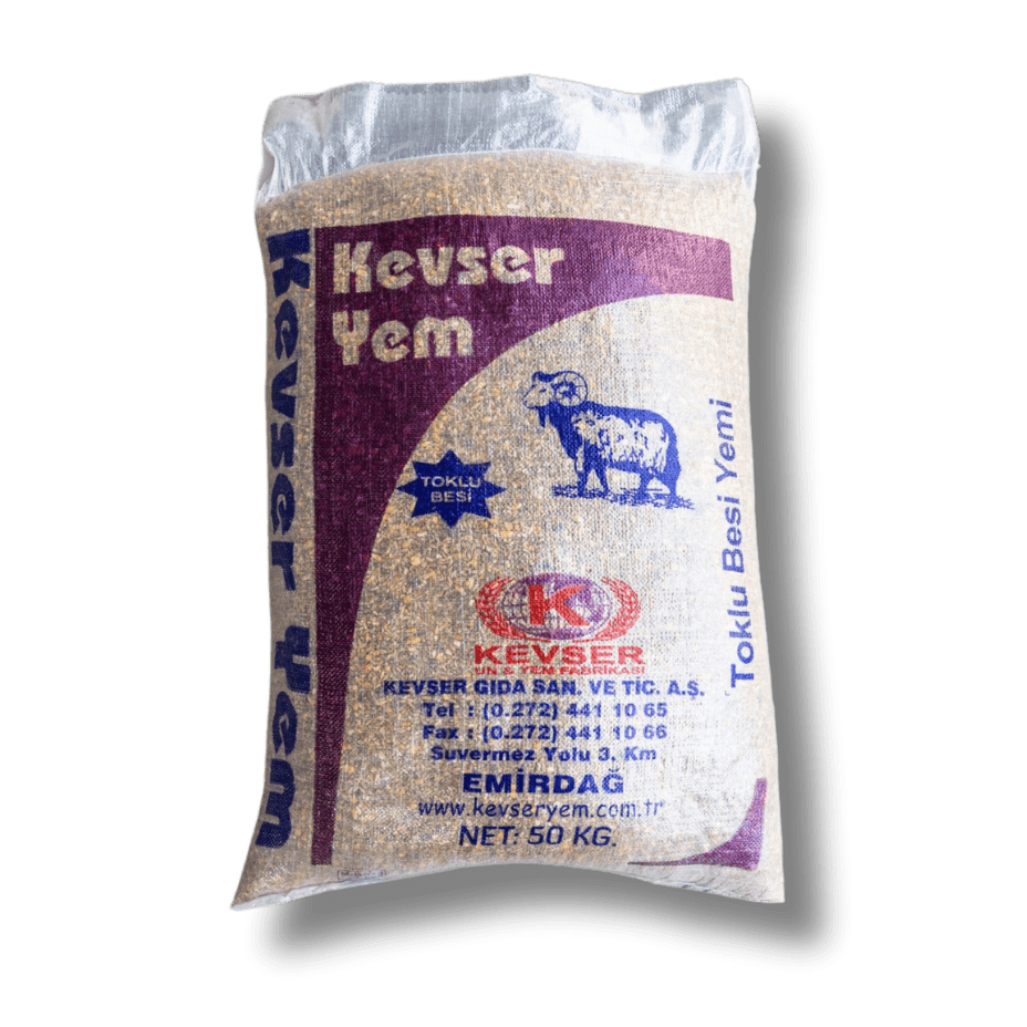 Adsız Tasarım (18)