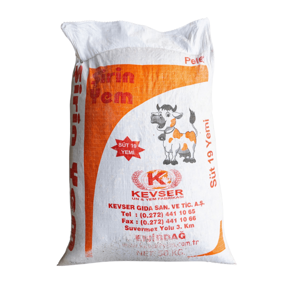 Adsız Tasarım (26)