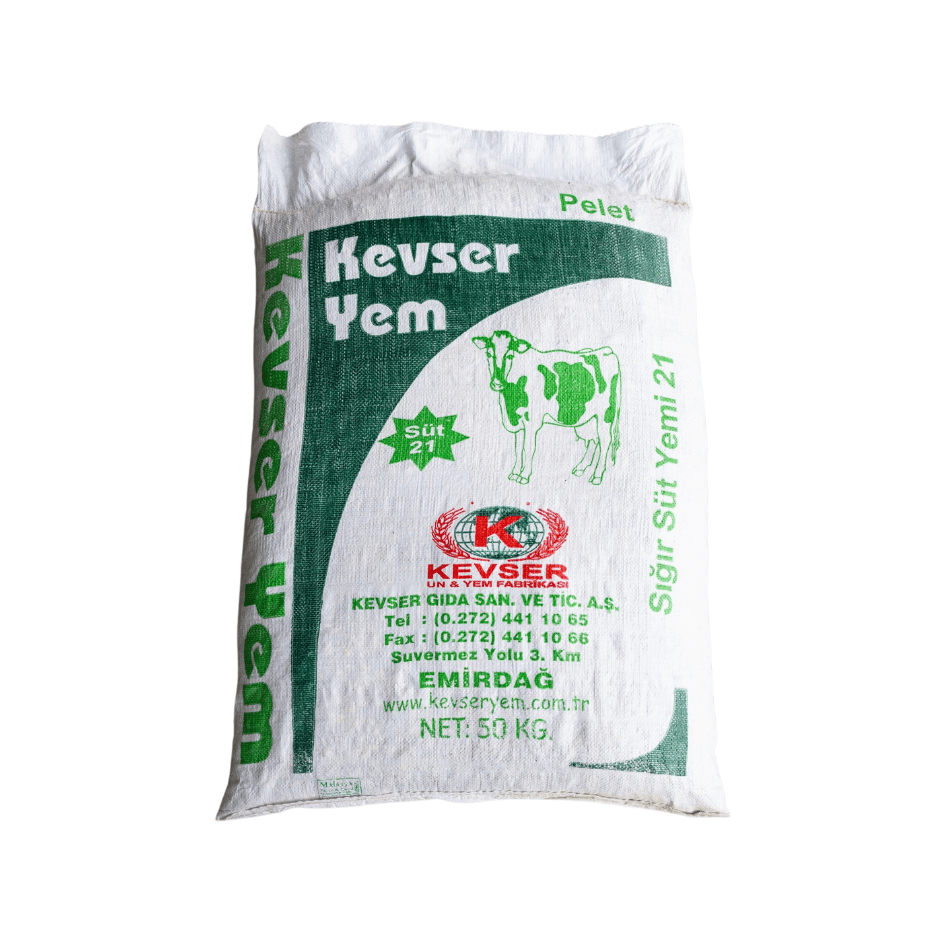 Adsız Tasarım (28)